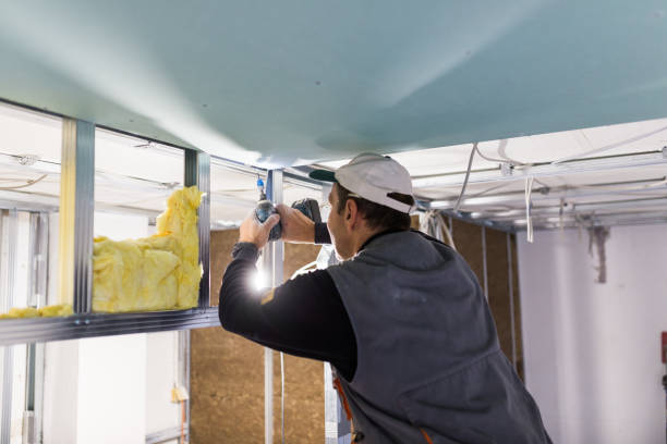 Best Blown-In Insulation  in Great Neck Gardens, NY